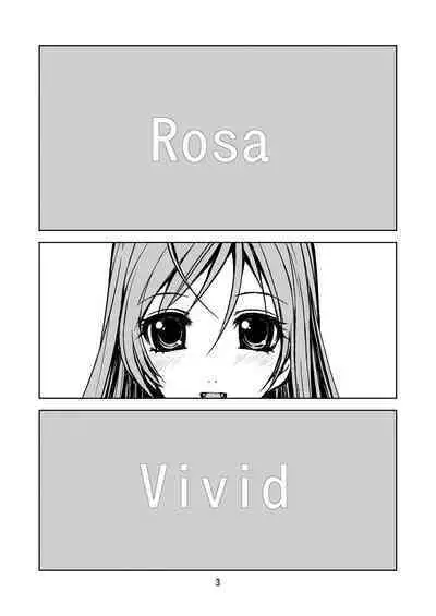 RV - Rosa Viva