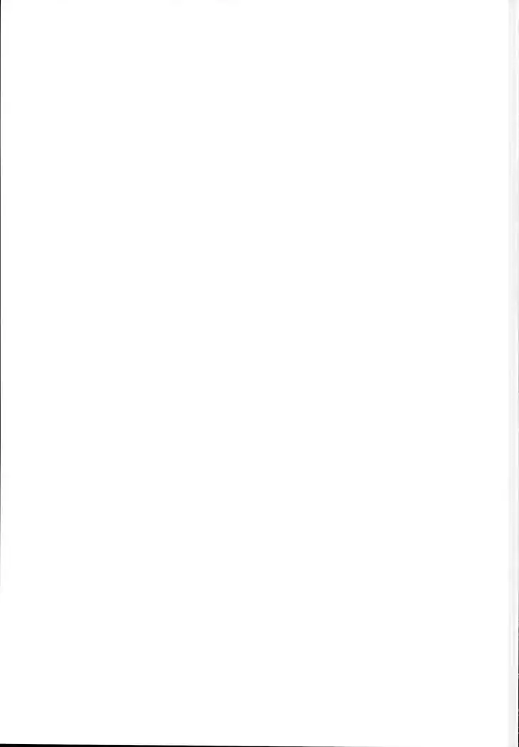 Momiji-chan to Goshujin-sama -Tanoshii Sanpo Hen-