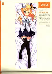 Dakimakura Cover Gashuu Bishoujo Game Hen