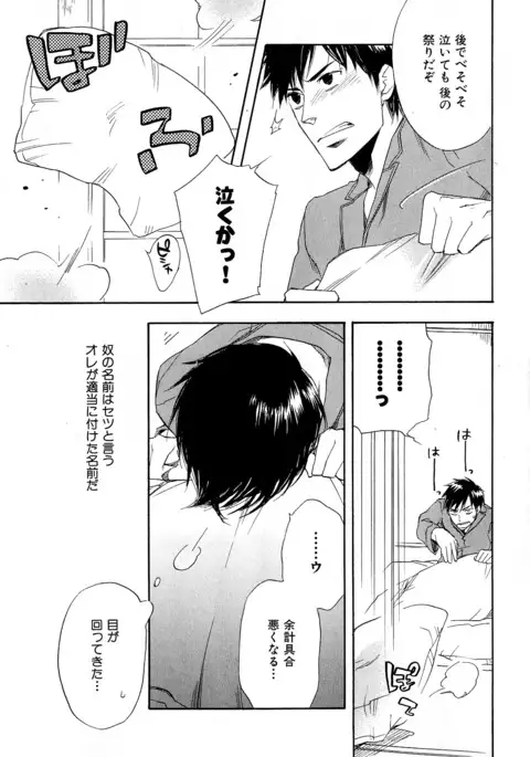 b-BOY Phoenix Vol.6 Gijinka Tokushuu