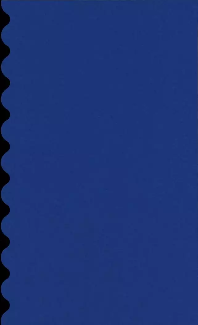 Chi no Tsunagaranai Otouto 2