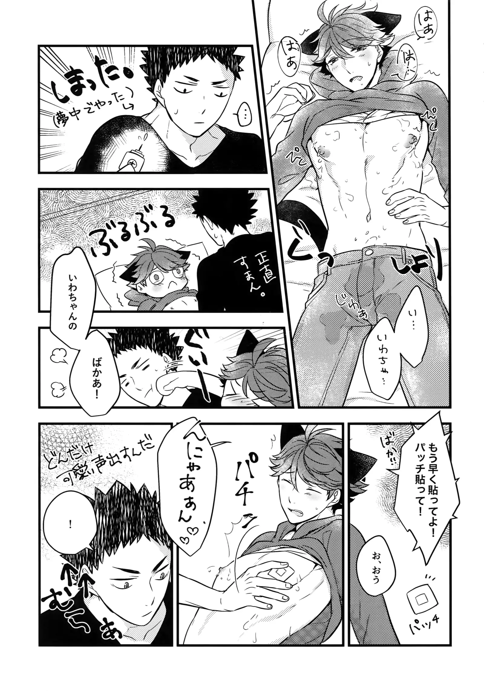 Iwachan no Neko ni Naritai Sairoku-Shuu