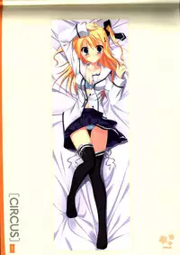 Dakimakura Cover Gashuu Bishoujo Game Hen