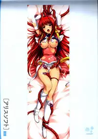 Dakimakura Cover Gashuu Bishoujo Game Hen