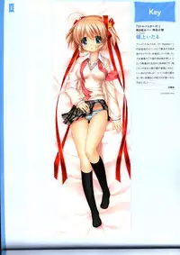 Dakimakura Cover Gashuu Bishoujo Game Hen