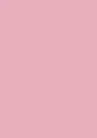 [D'ERLANGER (Yamazaki Show)] Raspberry Shake (I"s)