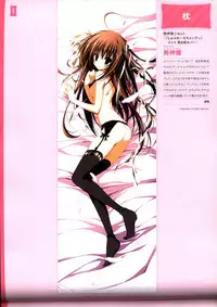 Dakimakura Cover Gashuu Bishoujo Game Hen