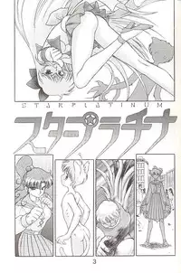 [BLACK DOG (Kuroinu Juu)] Star Platinum (Bishoujo Senshi Sailor Moon)