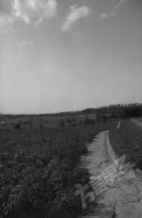 (Shota Scratch 18)[Mabataki Mosezu (Urotsuki)] Hougen Danshi Anthology