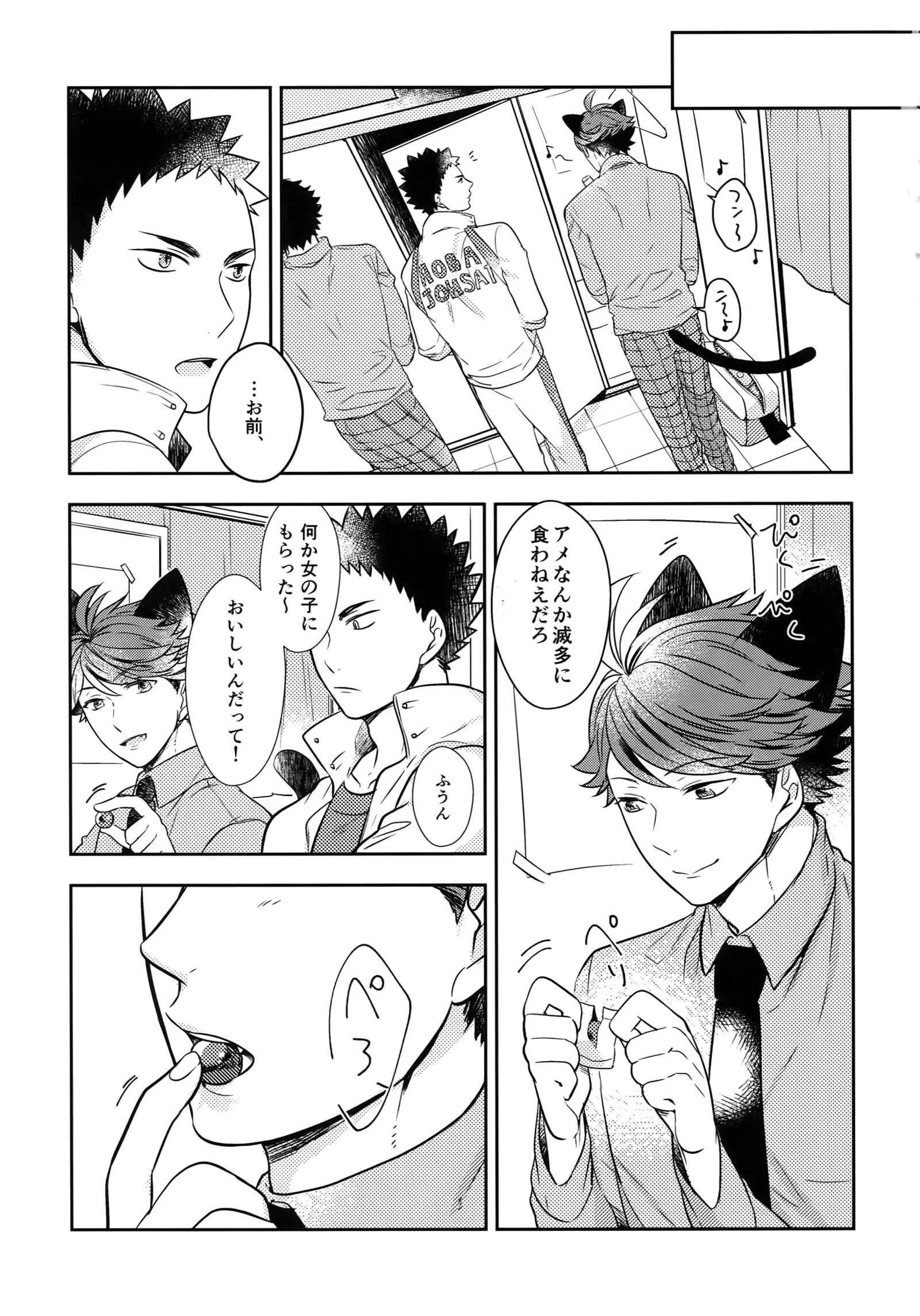 Iwachan no Neko ni Naritai Sairoku-Shuu