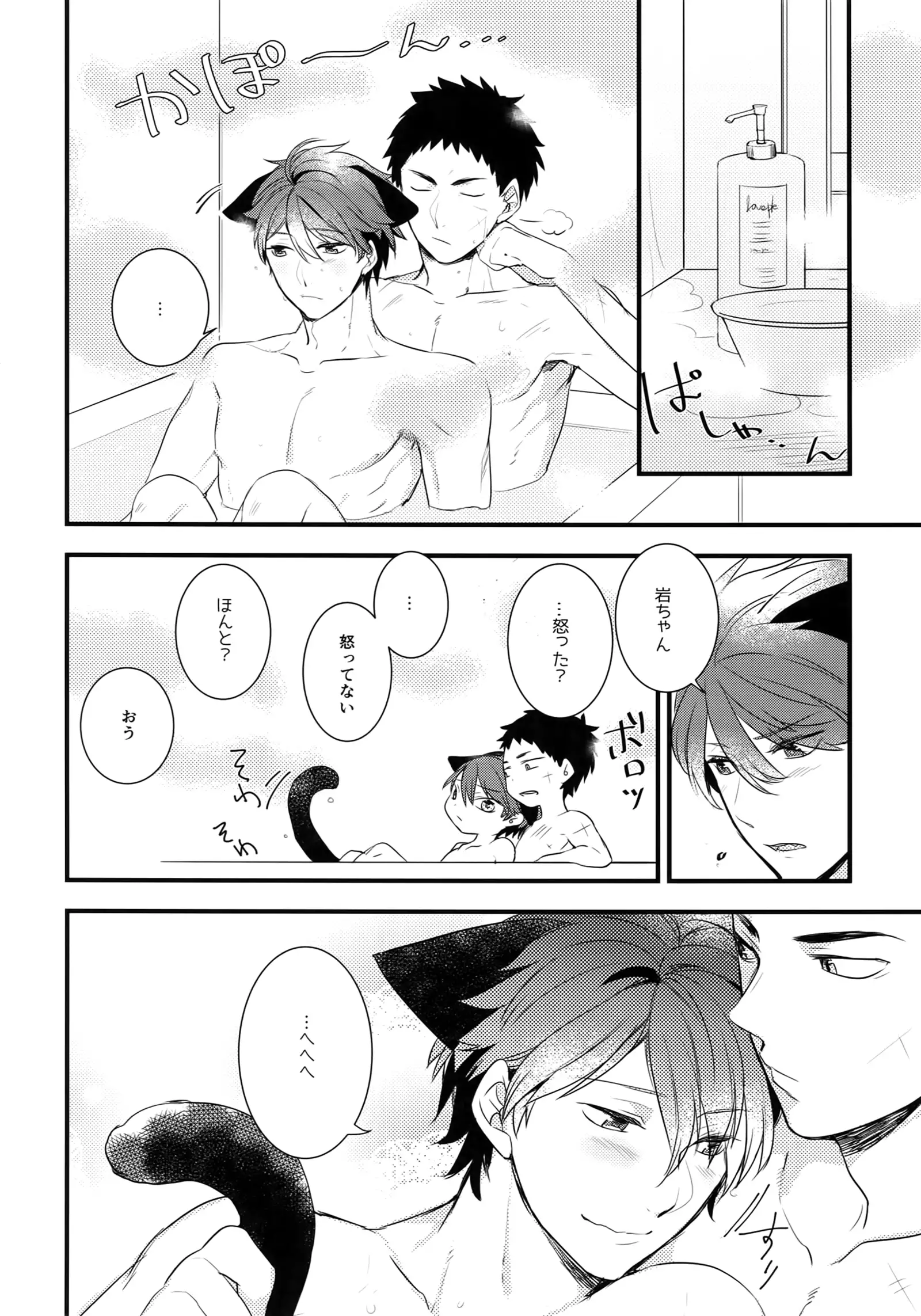 Iwachan no Neko ni Naritai Sairoku-Shuu