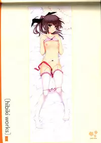 Dakimakura Cover Gashuu Bishoujo Game Hen