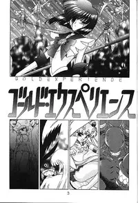 (C58) [BLACK DOG (Kuroinu Juu)] GOLD EXPERIENCE (Bishoujo Senshi Sailor Moon)