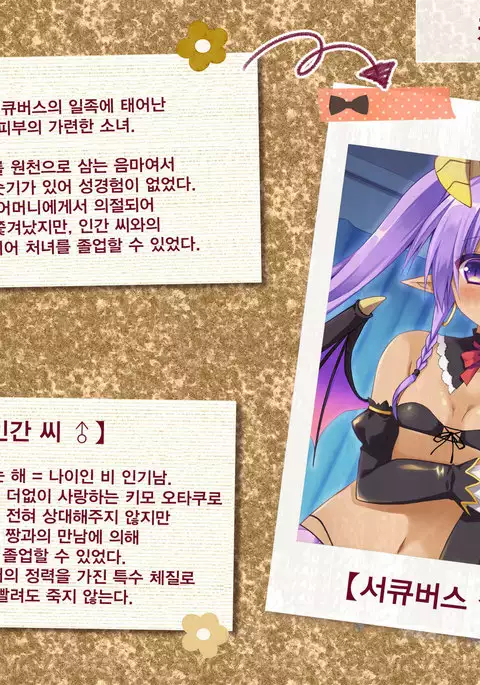 Hajirai Succubus 3