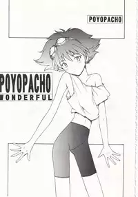 POYOPACHO WONDERFUL