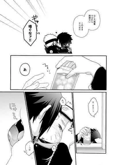 Peeping tom Rendezvous