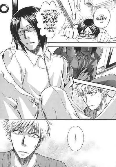 [NIKITA (Kira)] Road of the Family (Bleach) [English] [Daphira]