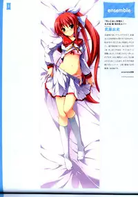 Dakimakura Cover Gashuu Bishoujo Game Hen