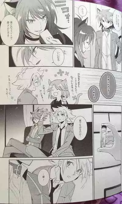 Nekonimatatabi Cardfight Vanguard!!