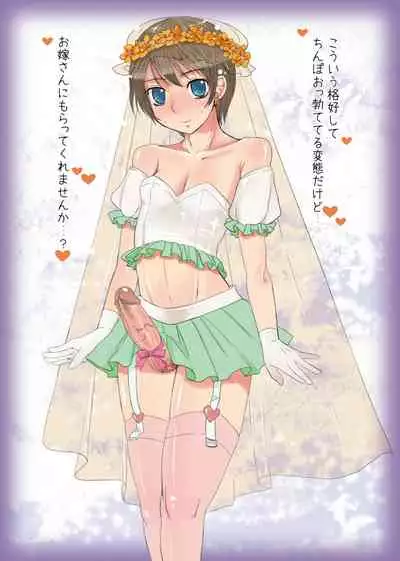 Otokomesu Otokonoko・Josoushi・Newhalf Soushuuhen