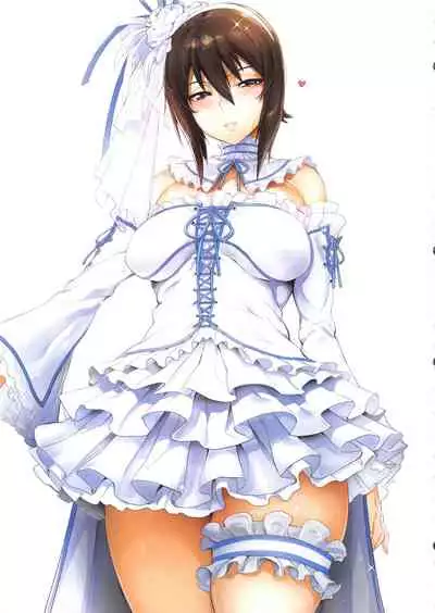 Ecchi na Onee-san Matome Hon