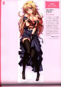 Dakimakura Cover Gashuu Bishoujo Game Hen