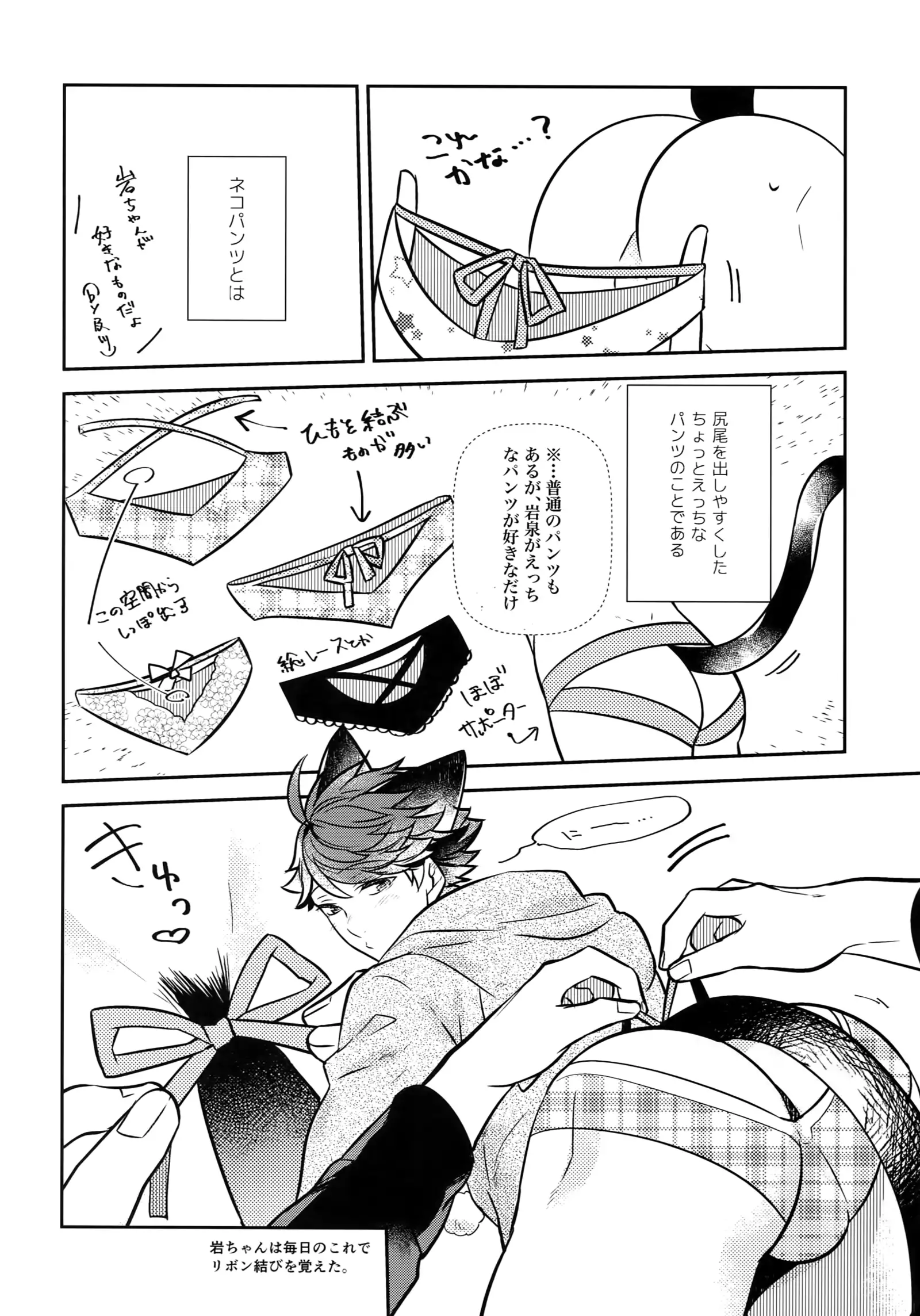 Iwachan no Neko ni Naritai Sairoku-Shuu