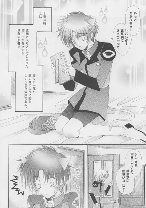 Nekomimi Zouryouchuu
