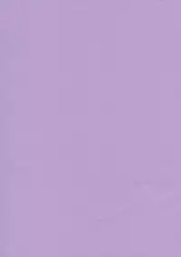 (C70) [Medical Berry (ha-ru)] Fragrance of Lilac (Mahou Sensei Negima!)