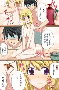 [Kameneji] In・S (Infinite Stratos)