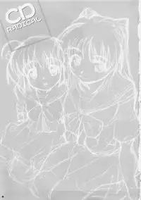 (C73) [Yamaguchi Print (Tamaki Yayoi)] CD RADICAL (ToHeart2)