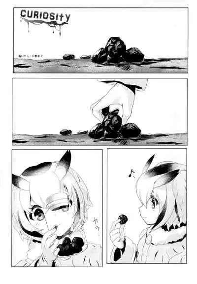 CURIOSITY