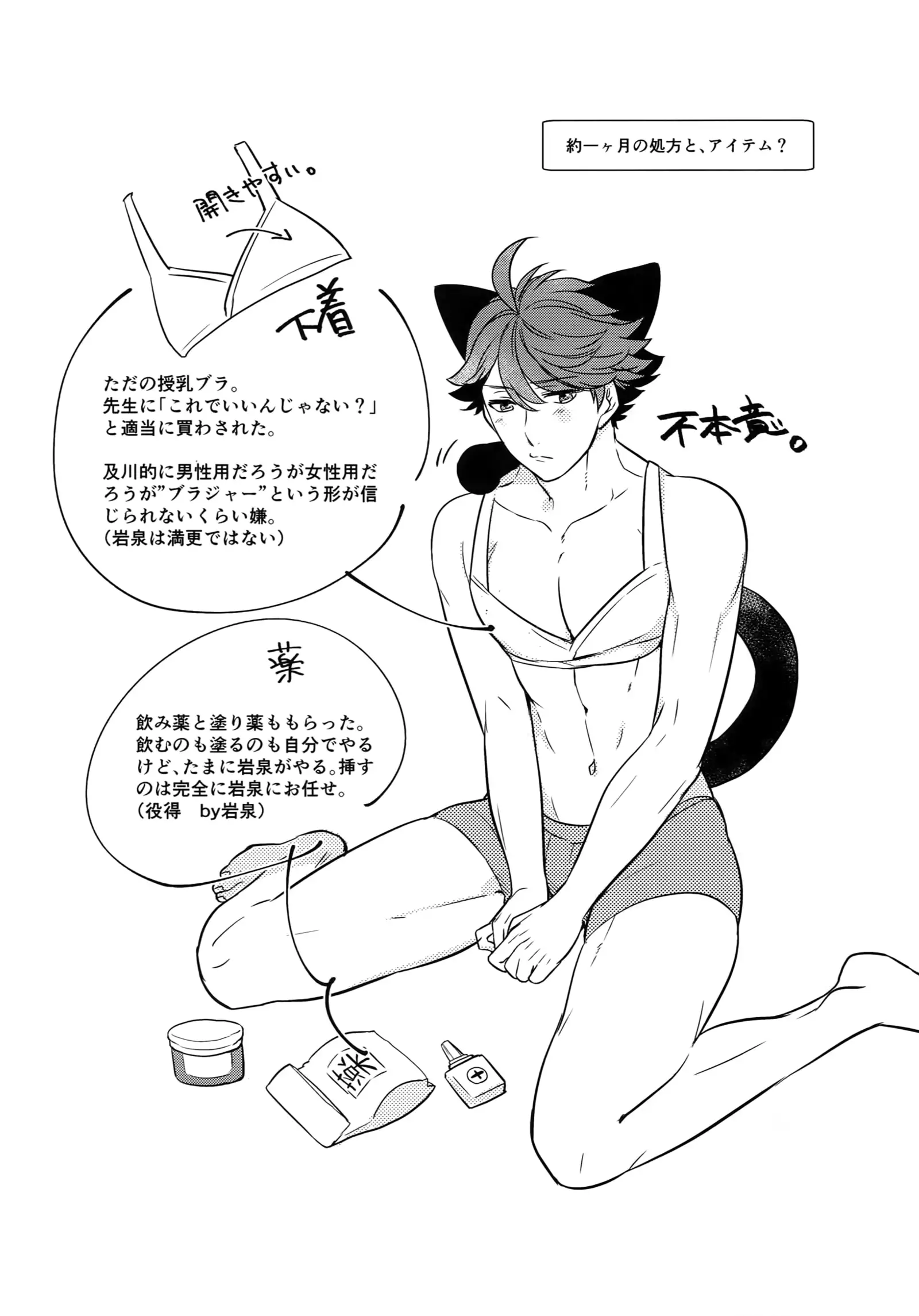 Iwachan no Neko ni Naritai Sairoku-Shuu