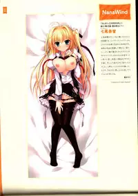 Dakimakura Cover Gashuu Bishoujo Game Hen