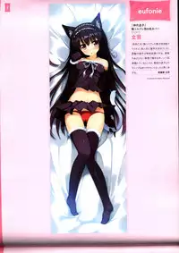 Dakimakura Cover Gashuu Bishoujo Game Hen