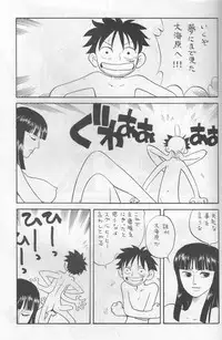 (C65) [Okirakudou (Various)] Kaizoku Shukujo (One Piece)