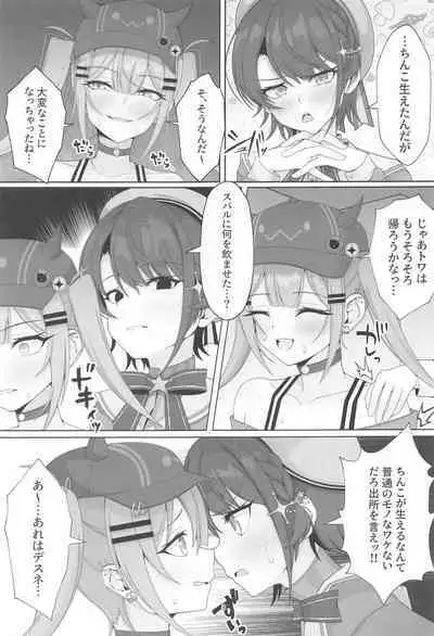 TokoMO ga S no Ochinchin o Donika Suru Hanashi