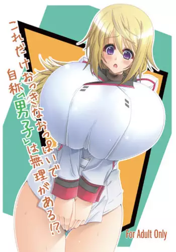 (C80) [elflite (Akira Agata)] Kore dake okkina oppai de jisho danshi wa murigaru! ? (IS <Infinite Stratos>)