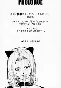 [Pururun Estate] DOA2 shunka soushuuban tokoton rez [DOA]