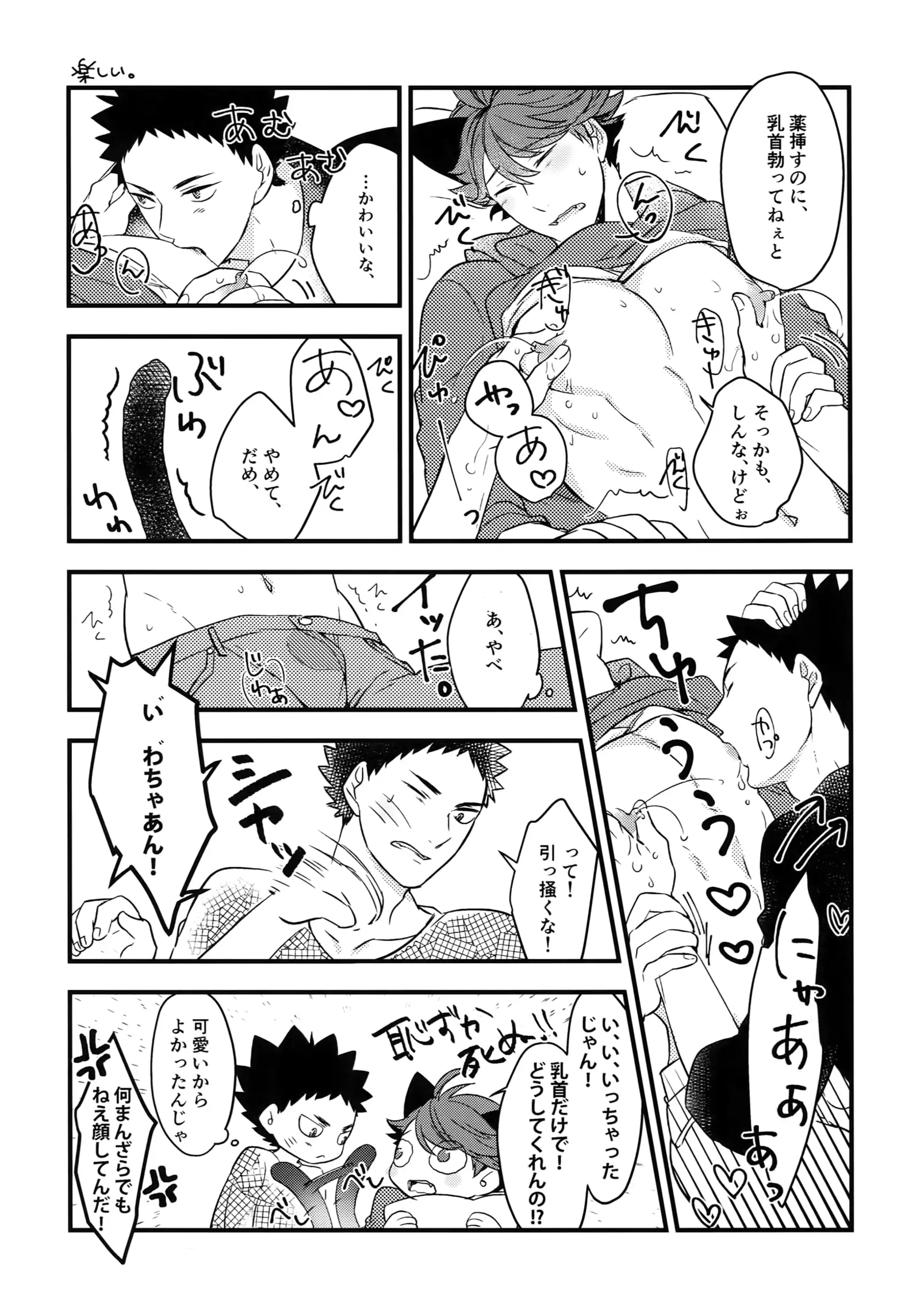 Iwachan no Neko ni Naritai Sairoku-Shuu