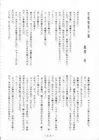 (CR22) [White Elephant (Various)] Cammy Sousa Kannou Shashinshuu (Street Fighter)