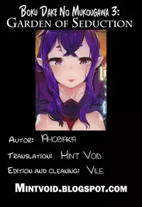 [AHOBAKA] Bokudakeno Mukougawa Ch. 0-9 [English] [MintVoid + Vile,SaHa,thetsuuyaku]