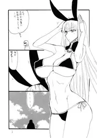 (C82) [King Revolver (Kikuta Kouji)] GinMori (Valkyria Chronicles)