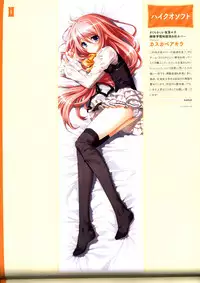 Dakimakura Cover Gashuu Bishoujo Game Hen