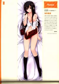 Dakimakura Cover Gashuu Bishoujo Game Hen