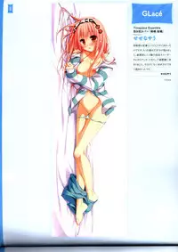 Dakimakura Cover Gashuu Bishoujo Game Hen