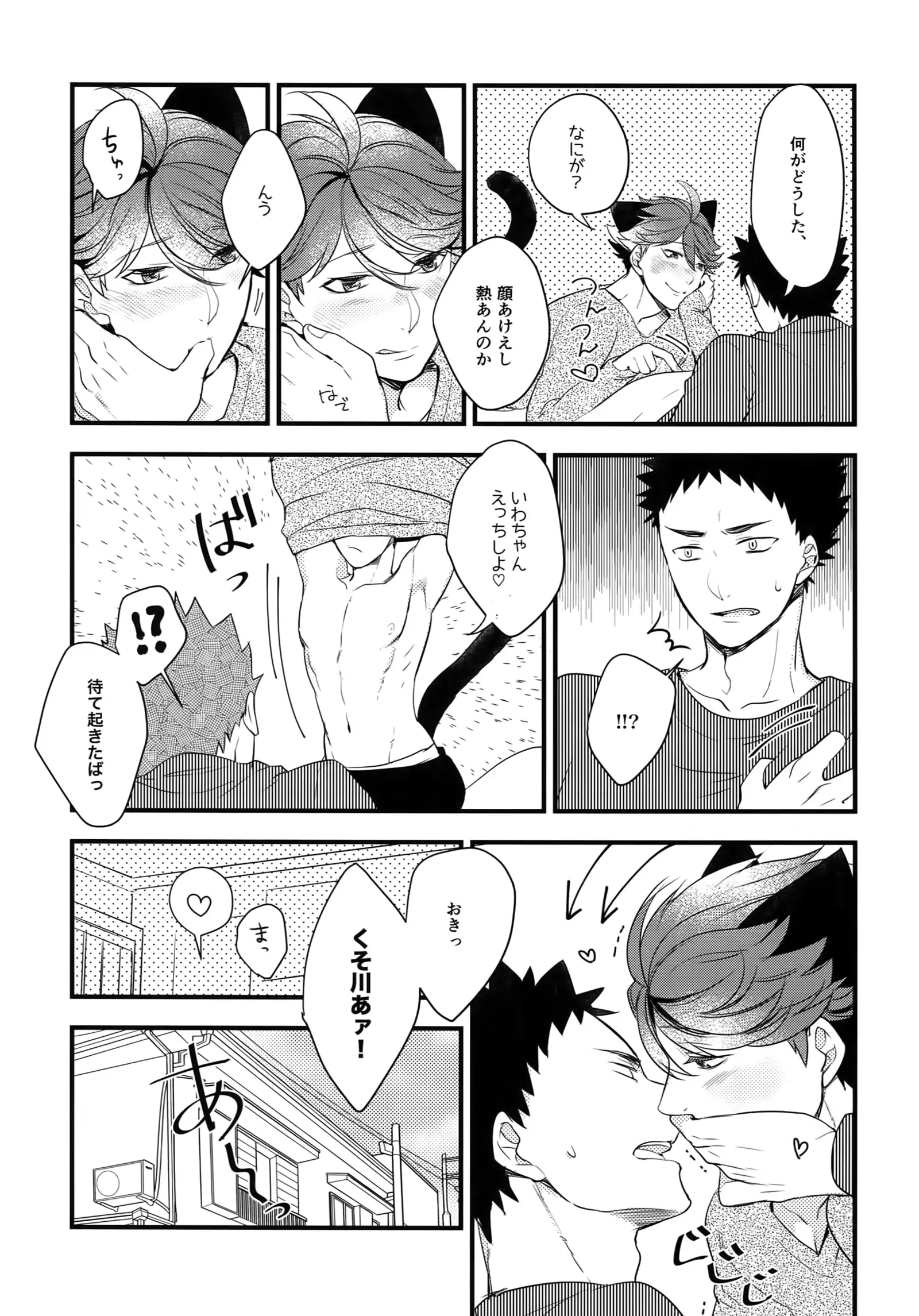 Iwachan no Neko ni Naritai Sairoku-Shuu