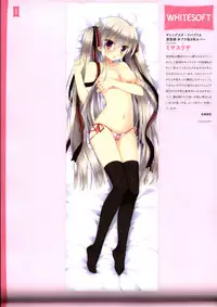 Dakimakura Cover Gashuu Bishoujo Game Hen