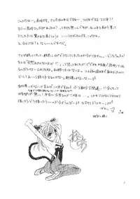 (CR19) [Digital Lover (Takanami Sachiko)] DESIR SEXUEL (Neon Genesis Evangelion)